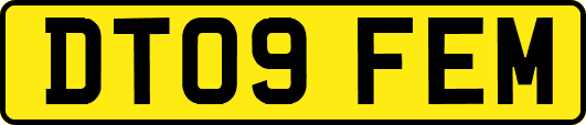 DT09FEM