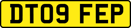 DT09FEP
