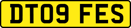 DT09FES