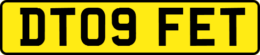 DT09FET