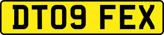DT09FEX