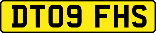 DT09FHS