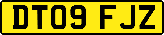 DT09FJZ
