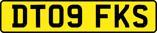 DT09FKS