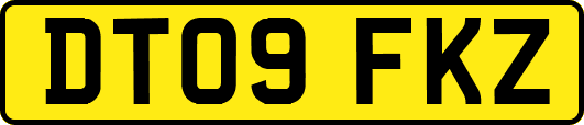 DT09FKZ