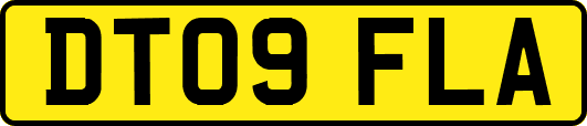 DT09FLA