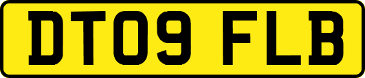 DT09FLB