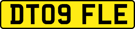 DT09FLE