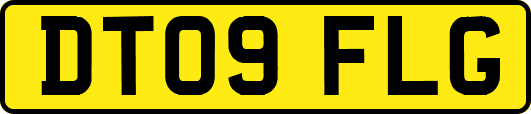 DT09FLG