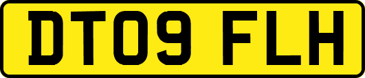 DT09FLH