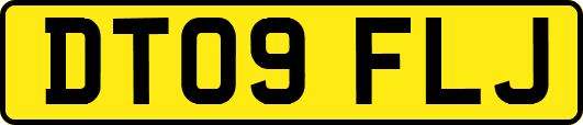 DT09FLJ
