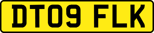 DT09FLK