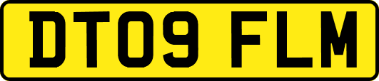 DT09FLM