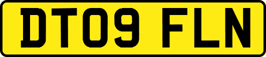 DT09FLN