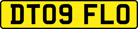 DT09FLO