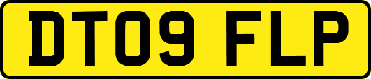 DT09FLP