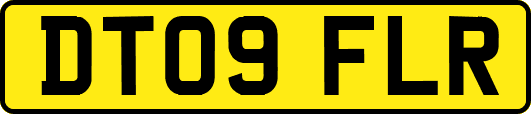 DT09FLR