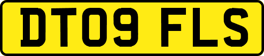 DT09FLS