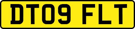 DT09FLT