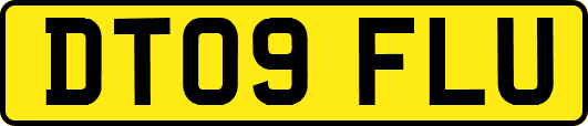 DT09FLU