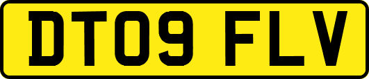 DT09FLV