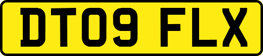 DT09FLX