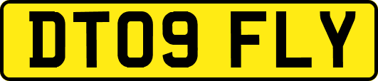 DT09FLY