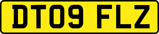 DT09FLZ