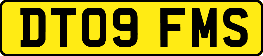 DT09FMS