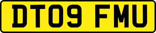 DT09FMU