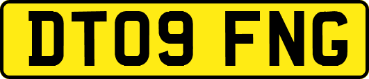 DT09FNG