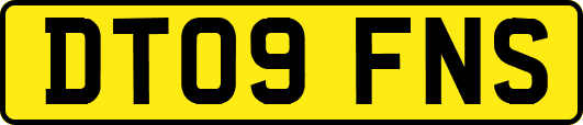 DT09FNS