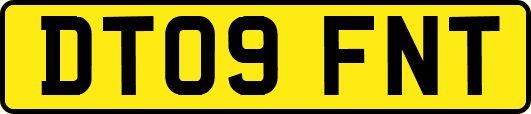 DT09FNT