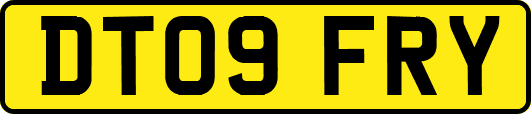 DT09FRY