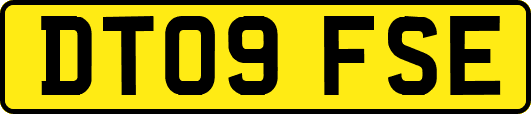 DT09FSE