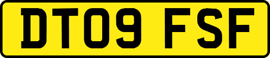 DT09FSF