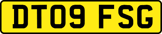 DT09FSG