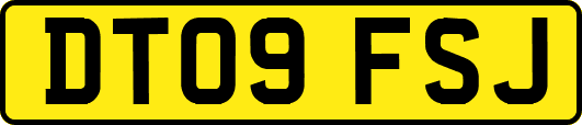 DT09FSJ