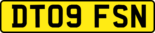 DT09FSN