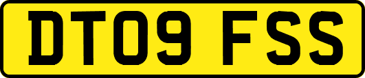 DT09FSS