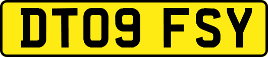 DT09FSY
