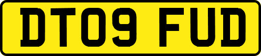 DT09FUD
