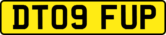 DT09FUP