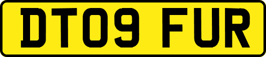 DT09FUR