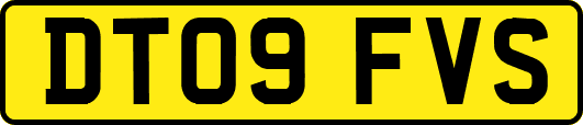 DT09FVS