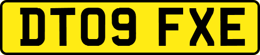 DT09FXE