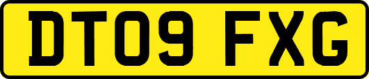 DT09FXG