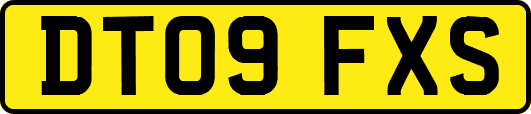 DT09FXS