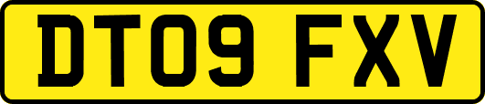 DT09FXV