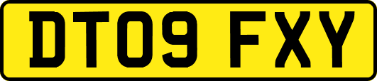 DT09FXY